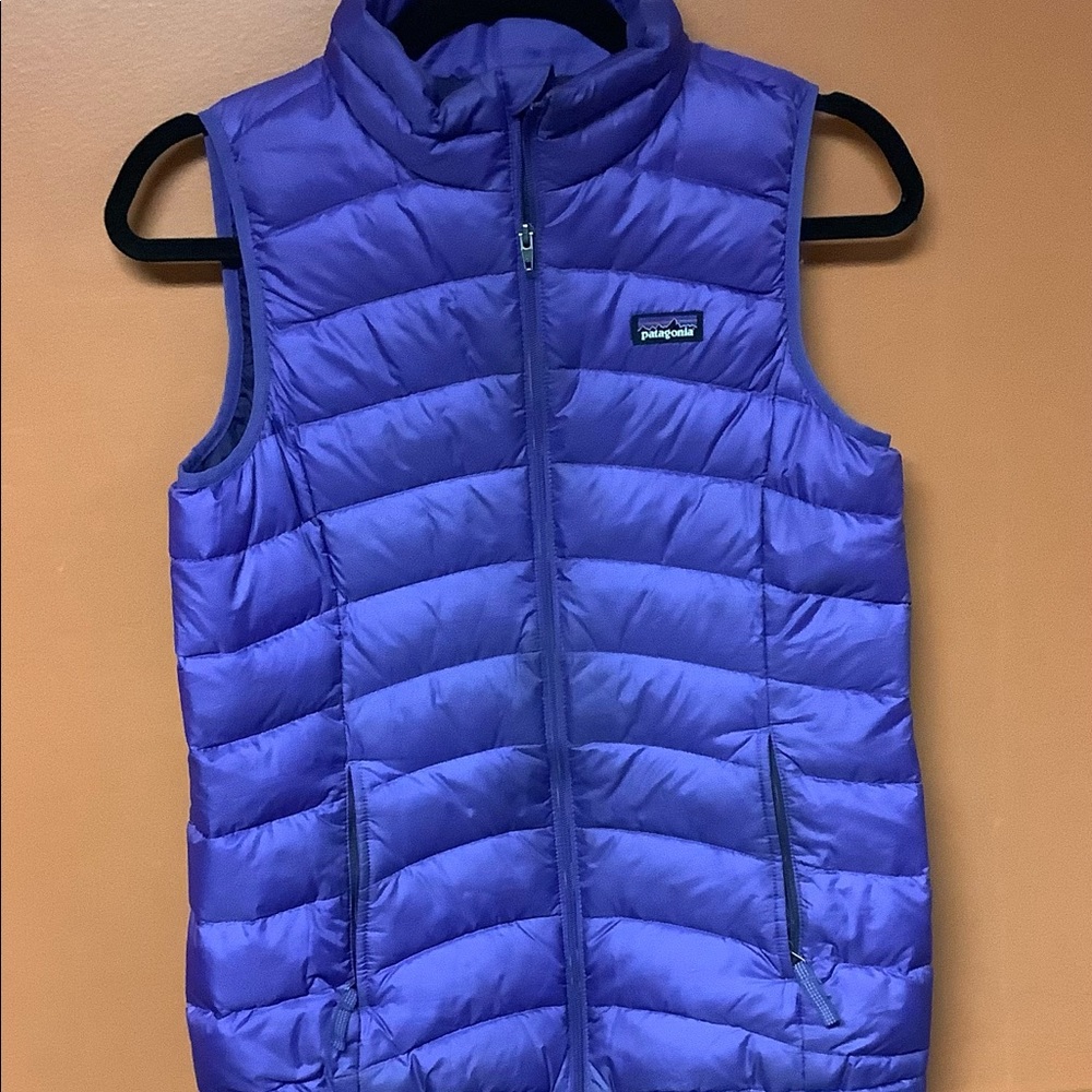 Patagonia Light Purple Vest Size XL (14)